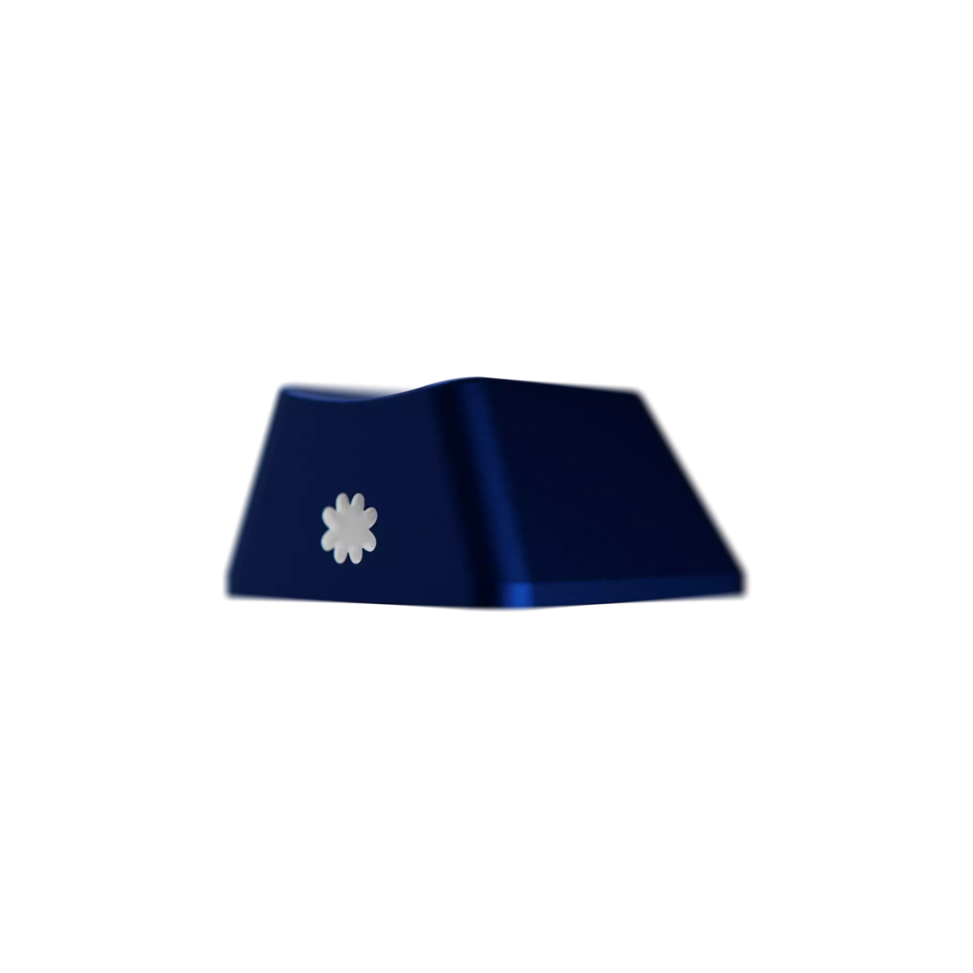 BLMN_v001_01_REAR_1